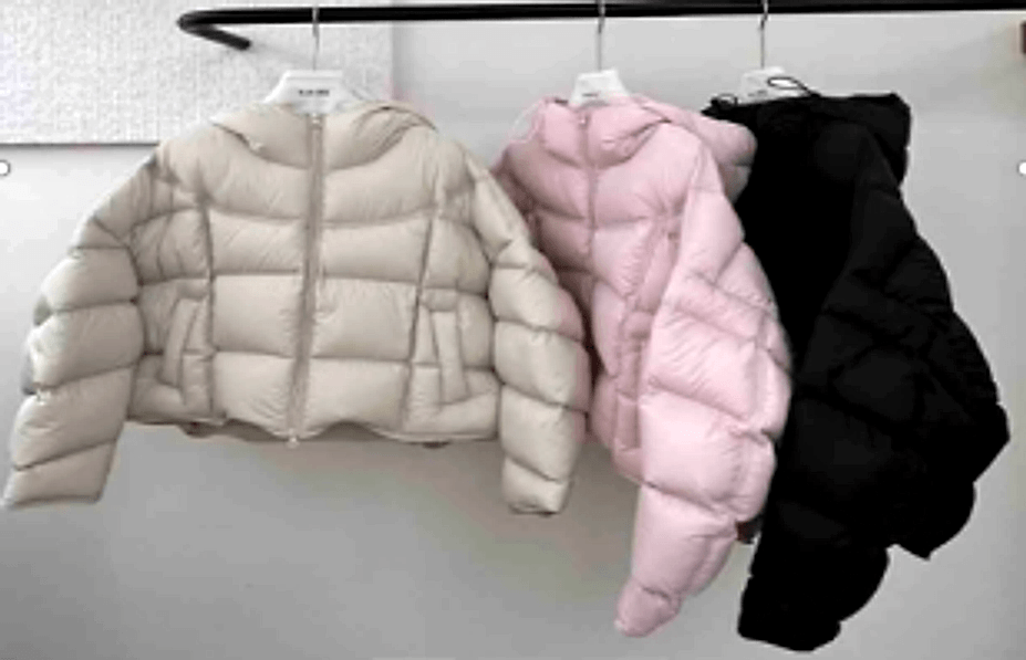 Short Hooded Goose Down Jacket